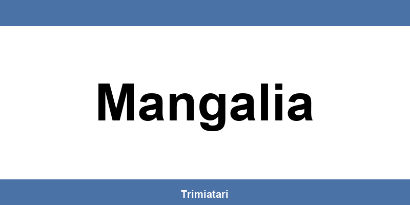 Punctul GLS din Mangalia: unde îl găsești și la ce îți poate folosi