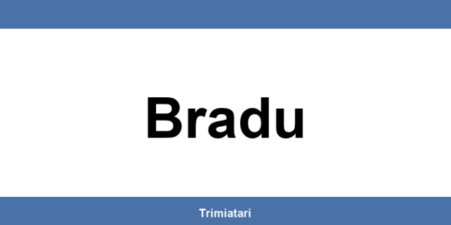 Punctul GLS din Bradu: unde îl găsești și la ce îți poate folosi