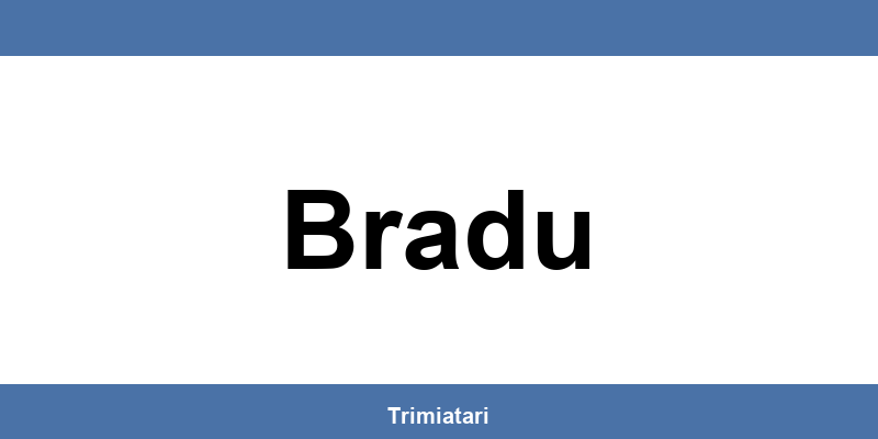 Punctul GLS din Bradu: unde îl găsești și la ce îți poate folosi