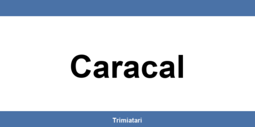 Punctul GLS din Caracal: unde îl găsești și la ce îți poate folosi
