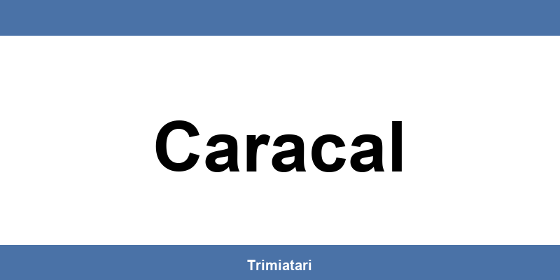 Punctul GLS din Caracal: unde îl găsești și la ce îți poate folosi