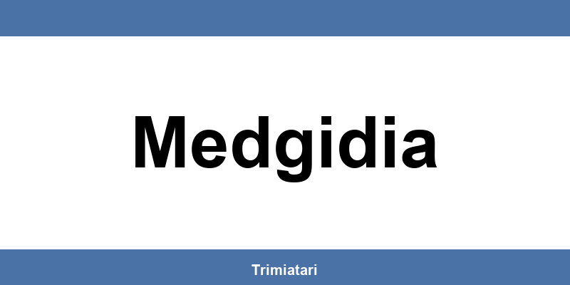 Punctul GLS din Medgidia: unde îl găsești și la ce îți poate folosi